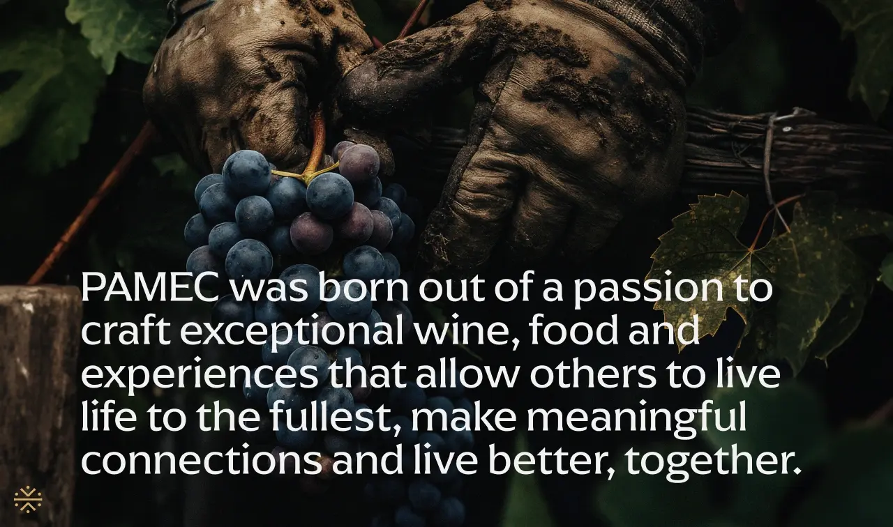 Marketing Collateral design for pamec winery